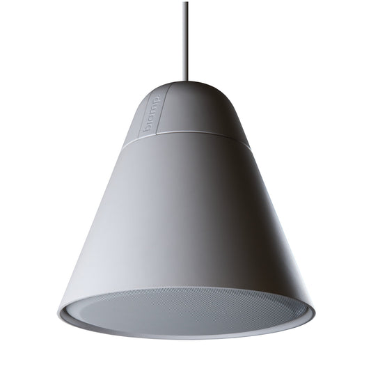  Biamp P30DT 4.25-Inch 2-Way Pendant Mount Loudspeaker, White(Biamp P30dt 4 25 Inch 2 Way Pendant Mount Loudspeaker White)