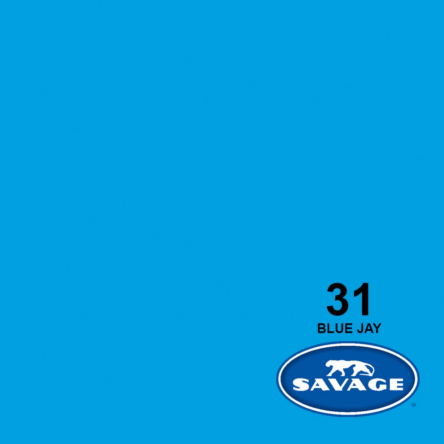 Savage 107-Inch X 50-Yards Widetone Seamless Background Paper, Blue Jay(Savage 31 50 107 Inch X 50 Yards Widetone Seamless Background Paper Blue Jay)