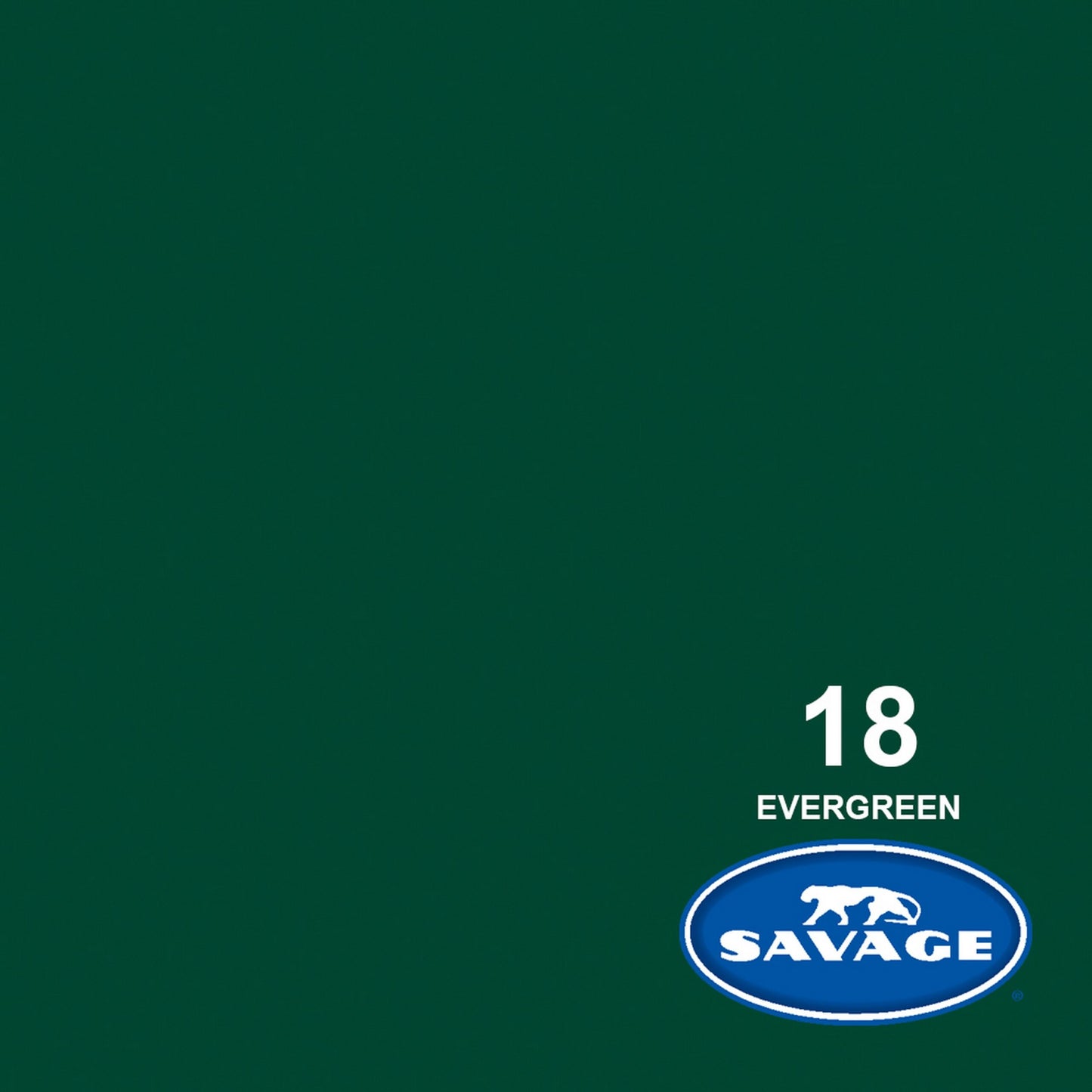  Savage 107-Inch X 50-Yards Widetone Seamless Background Paper, Evergreen(Savage 18 50 107 Inch X 50 Yards Widetone Seamless Background Paper Evergreen)