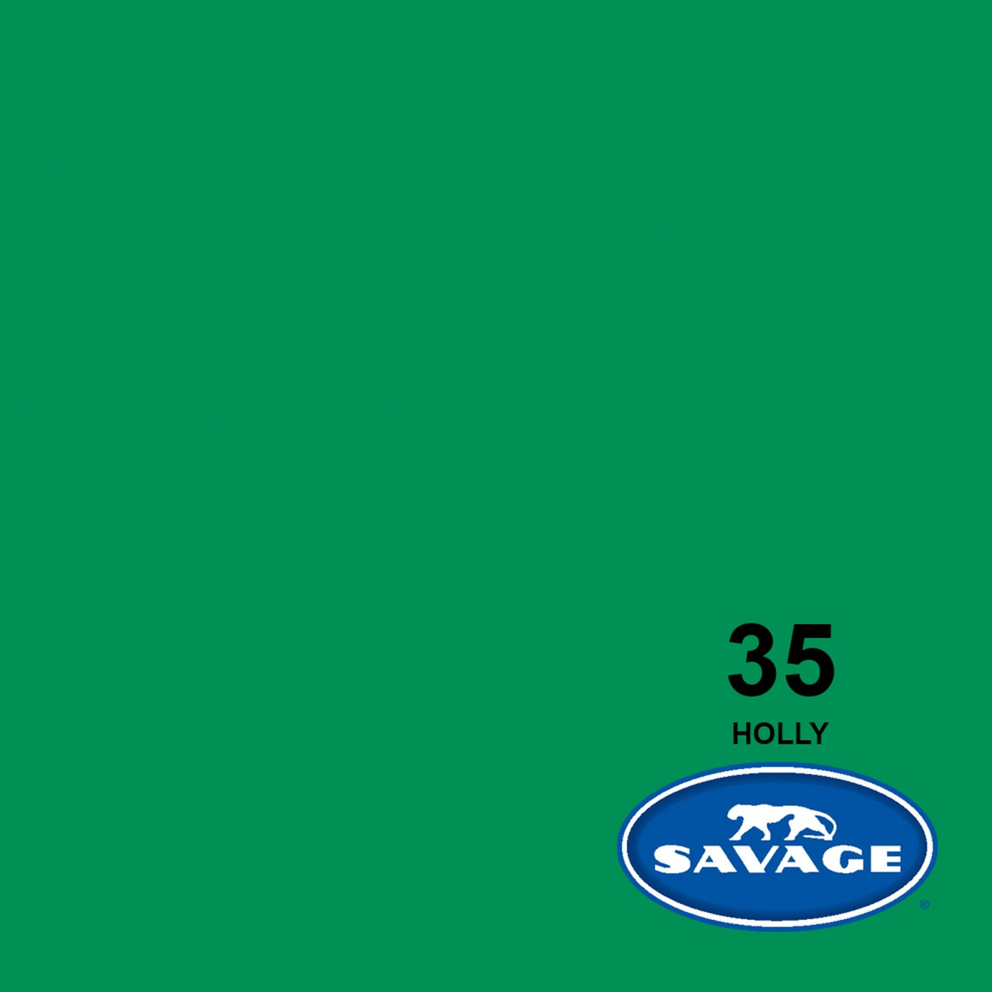  Savage 107-Inch X 12-Yards Widetone Seamless Background Paper, Holly(Savage 35 12 107 Inch X 12 Yards Widetone Seamless Background Paper Holly)