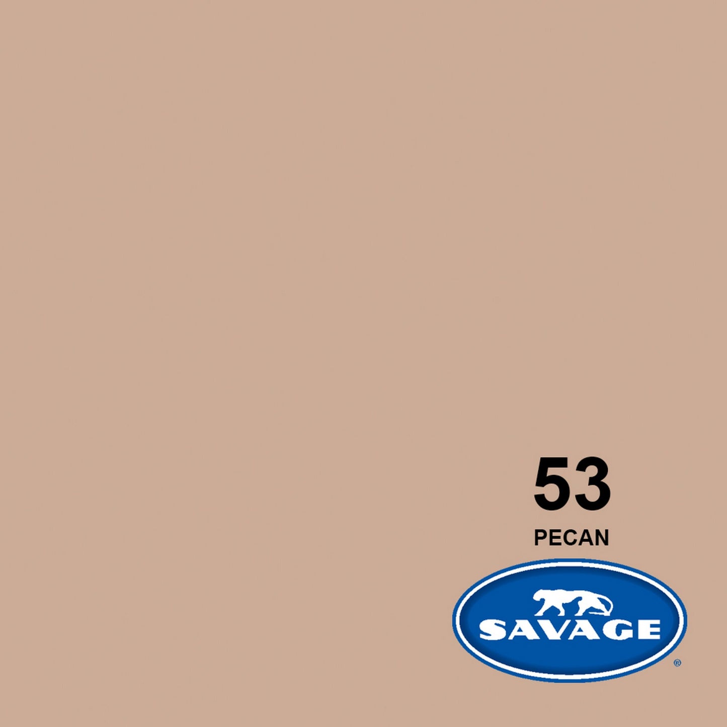  Savage 107-Inch X 12-Yards Widetone Seamless Background Paper, Pecan(Savage 53 12 107 Inch X 12 Yards Widetone Seamless Background Paper Pecan)