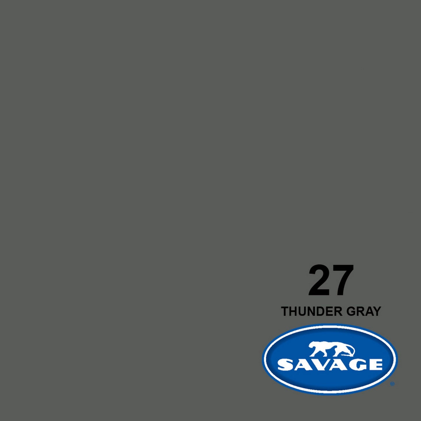  Savage 107-Inch X 12-Yards Widetone Seamless Background Paper, Thunder Gray(Savage 27 12 107 Inch X 12 Yards Widetone Seamless Background Paper Thunder Gray)