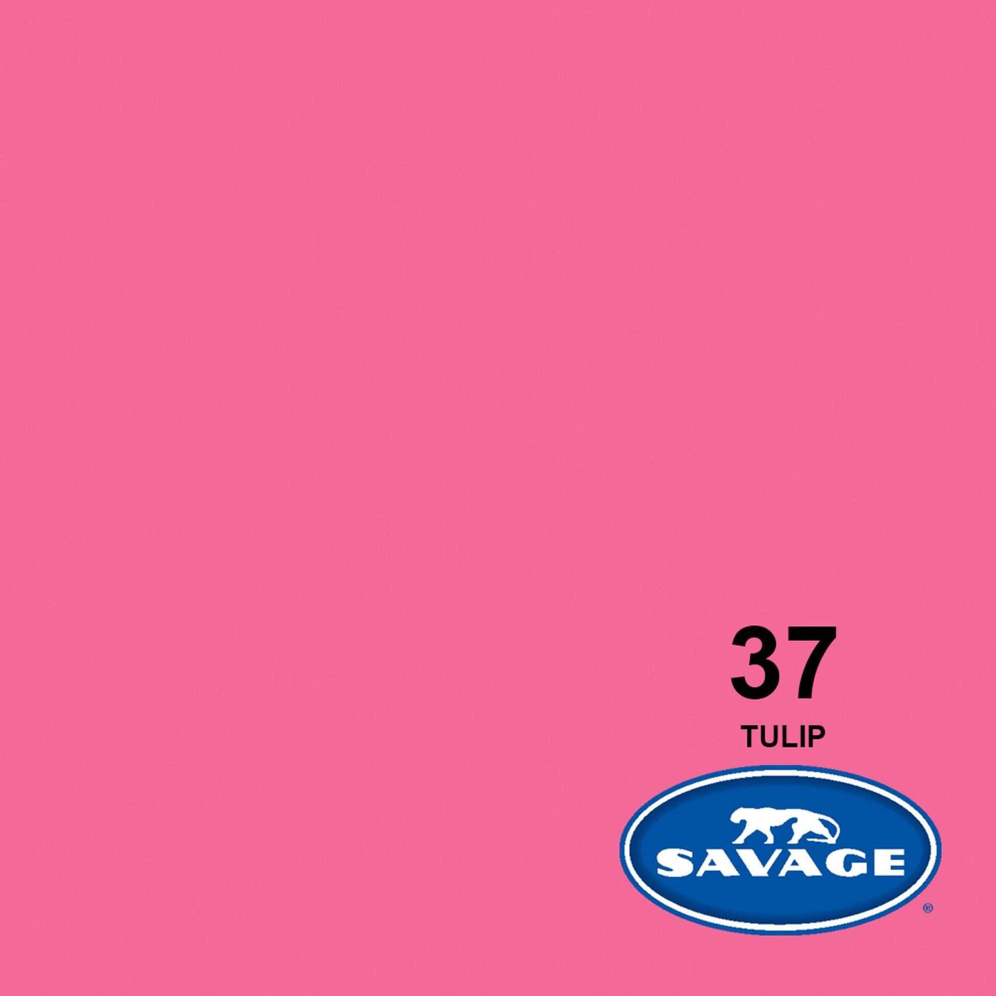  Savage 107-Inch X 12-Yards Widetone Seamless Background Paper, Tulip(Savage 37 12 107 Inch X 12 Yards Widetone Seamless Background Paper Tulip)