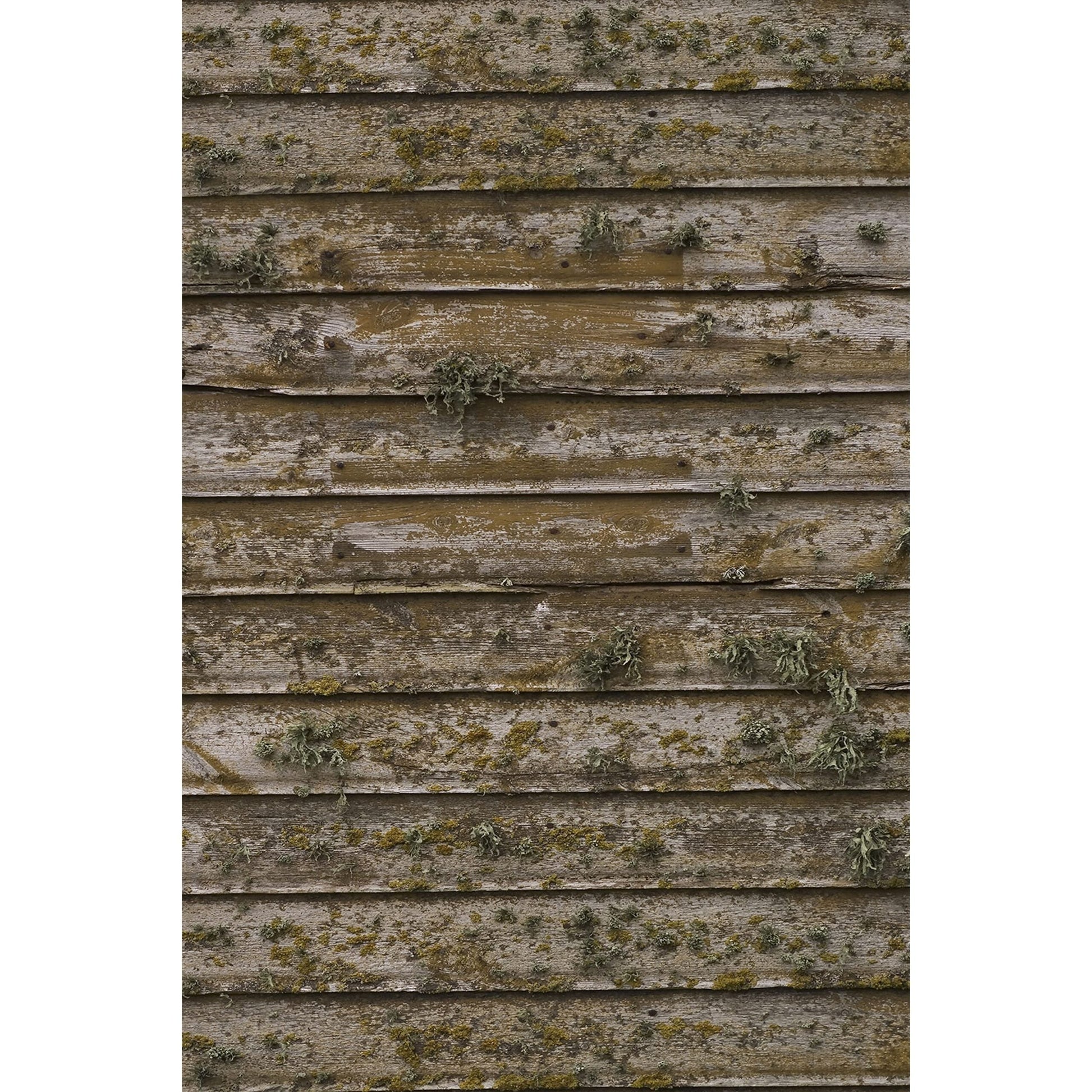  Savage 5 X 7-Foot Printed Vinyl Background, Distressed Wood Wall(Savage 5 X 7 Foot Printed Vinyl Background Distressed Wood Wall)