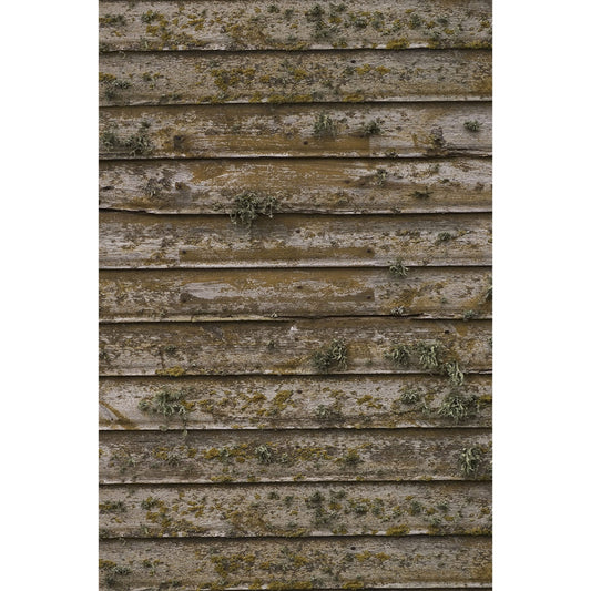  Savage 5 X 7-Foot Printed Vinyl Background, Distressed Wood Wall(Savage 5 X 7 Foot Printed Vinyl Background Distressed Wood Wall)