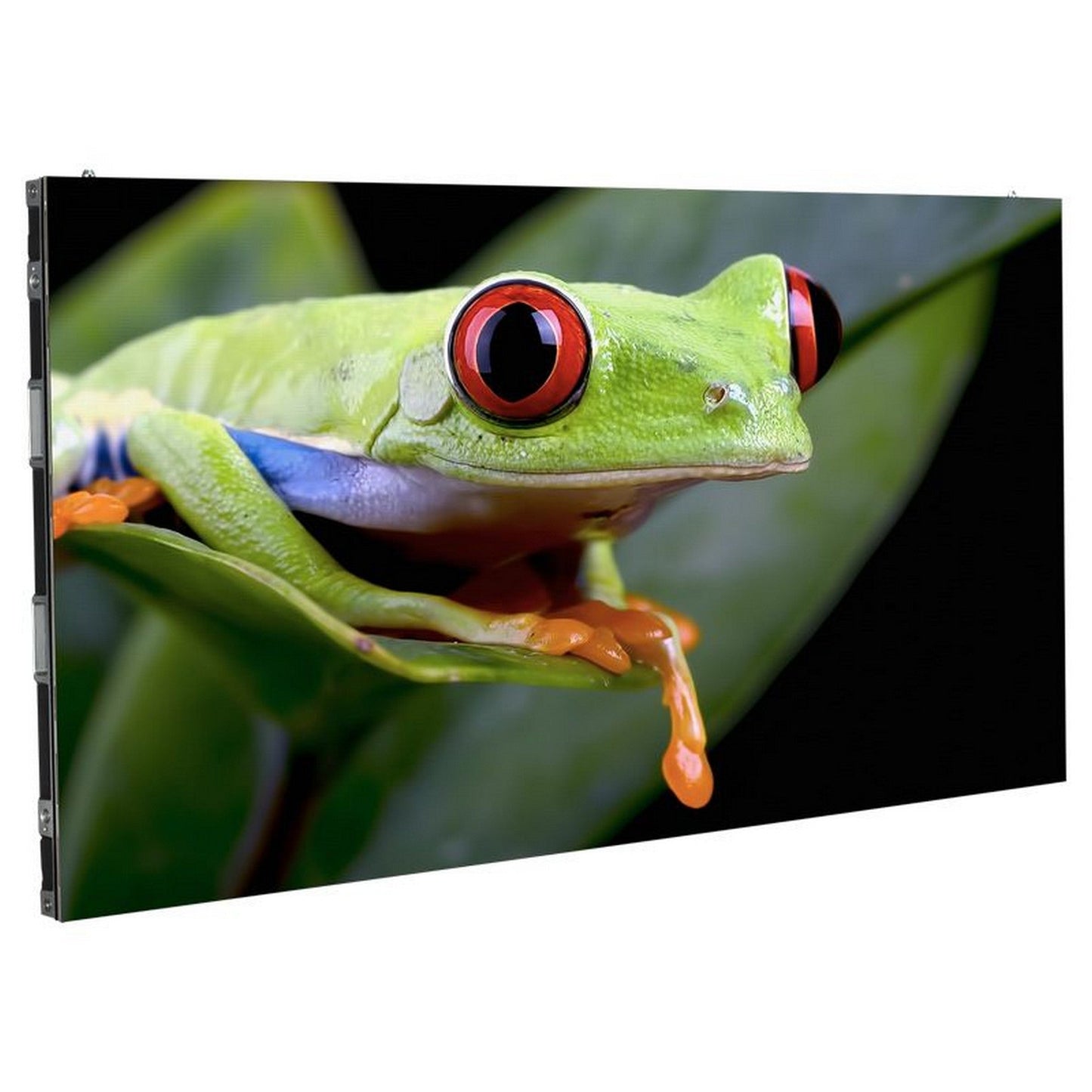  ADJ WMS2 2.6mm Pixel Pitch LED Video Panel With Wired DNC(Adj Wms2 26mm Pixel Pitch Led Video Panel With Wired Dnc)