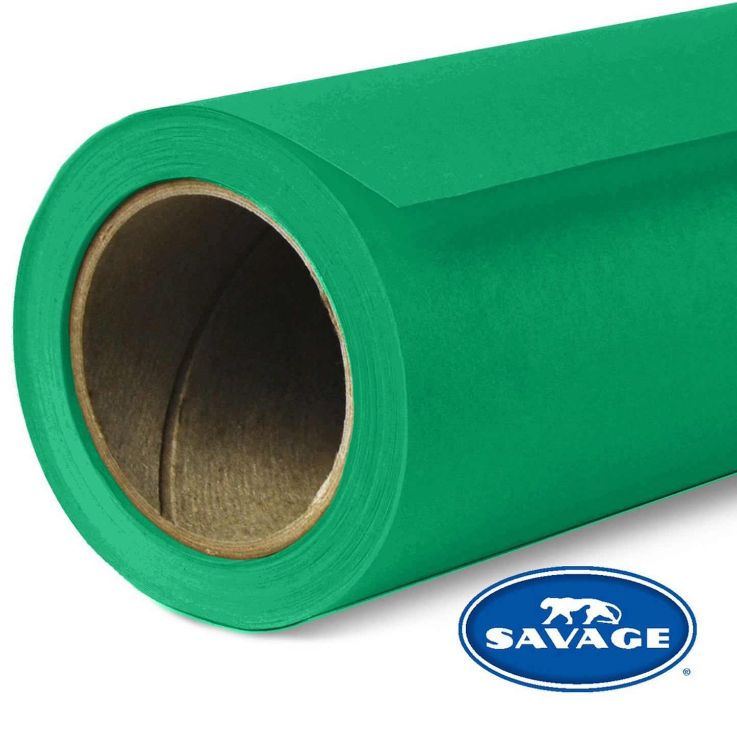  Savage 107-Inch X 12-Yards Widetone Seamless Background Paper, Holly(Savage 35 12 107 Inch X 12 Yards Widetone Seamless Background Paper Holly)
