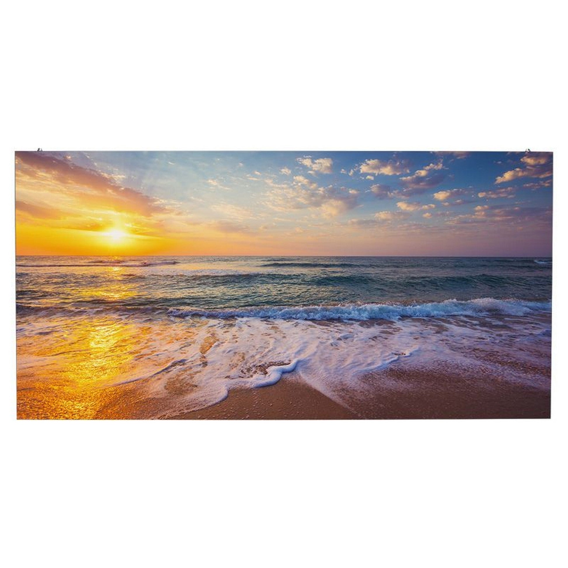  ADJ WMS2 2.6mm Pixel Pitch LED Video Panel With Wired DNC(Adj Wms2 26mm Pixel Pitch Led Video Panel With Wired Dnc)