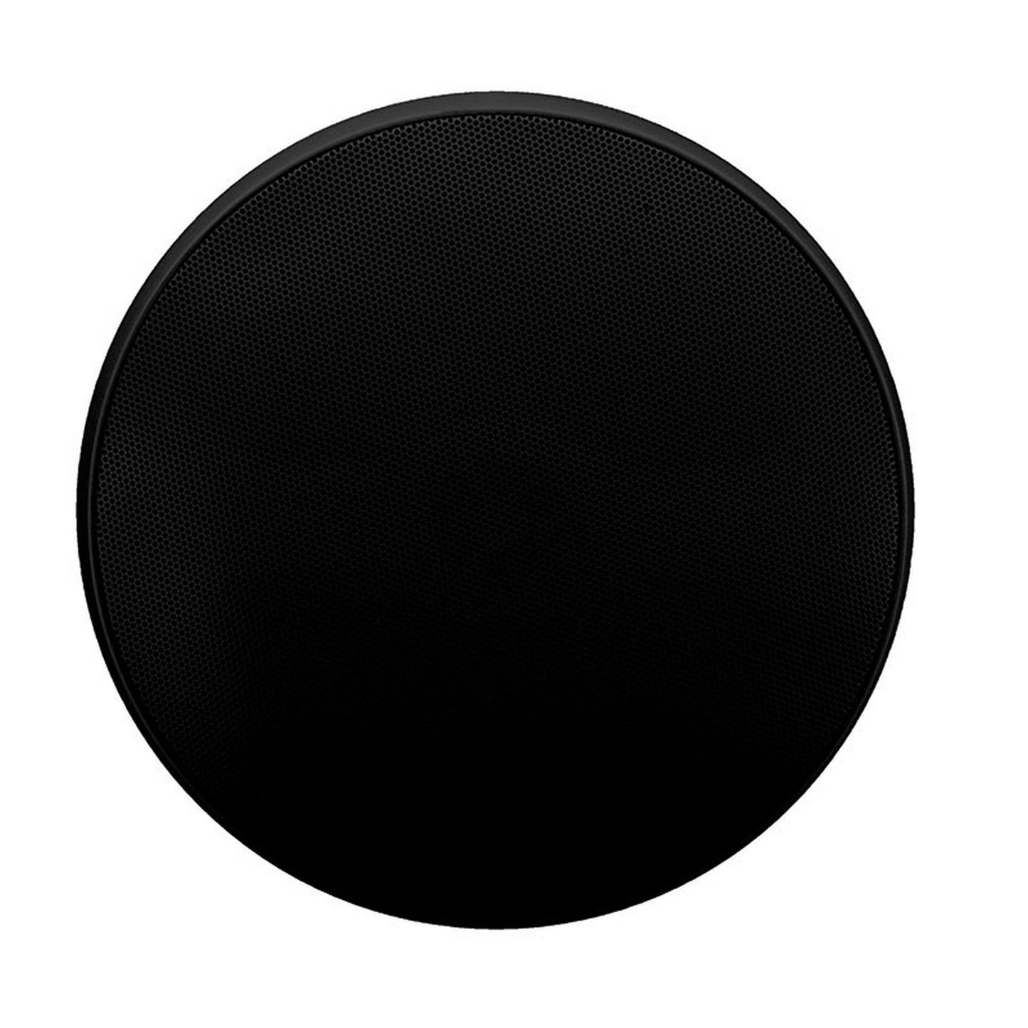  Beale Street Audio WP4V-BSC 4-Inch On-Wall/Pendant Speaker, 20W, Black(Beale Street Audio Wp4v Bsc 4 Inch On Wall Pendant Speaker 20w Black)