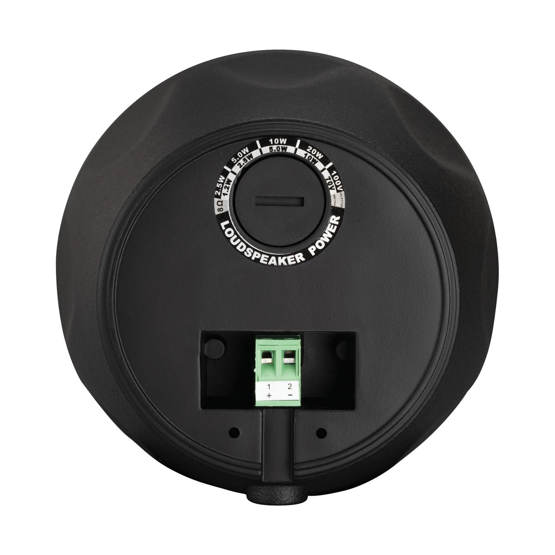  Beale Street Audio WP4V-BSC 4-Inch On-Wall/Pendant Speaker, 20W, Black(Beale Street Audio Wp4v Bsc 4 Inch On Wall Pendant Speaker 20w Black)