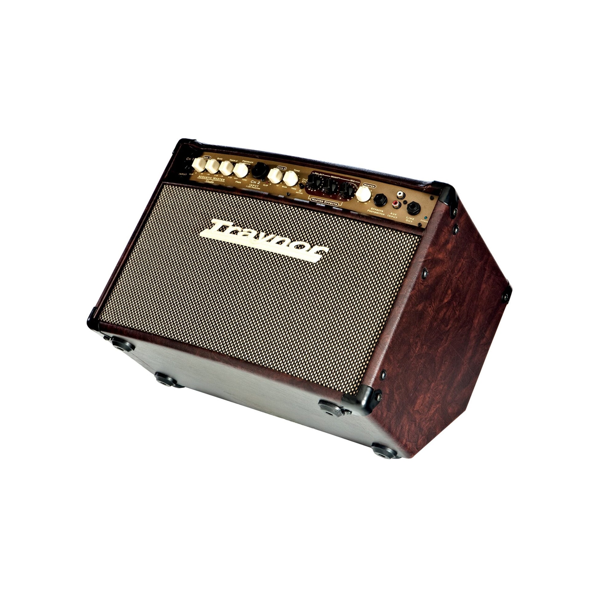  Traynor AM Studio 1 X 8 Inch 65 Watt Acoustic Guitar Combo Amplifier(Traynor Am Studio 1 X 8 Inch 65 Watt Acoustic Guitar Combo Amplifier)