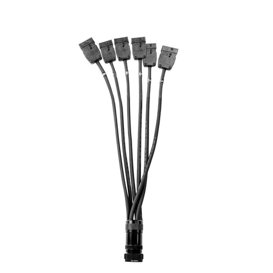  Elite Core 19 Pin Soco Breakout To Stage Pin Female Lighting Power Cable With Phase 3 Spider Connector, 5 Foot(Elite Core 19 Pin Soco Breakout To Stage Pin Female Lighting Power Cable With Phase 3 Spider Connector 5 Foot)