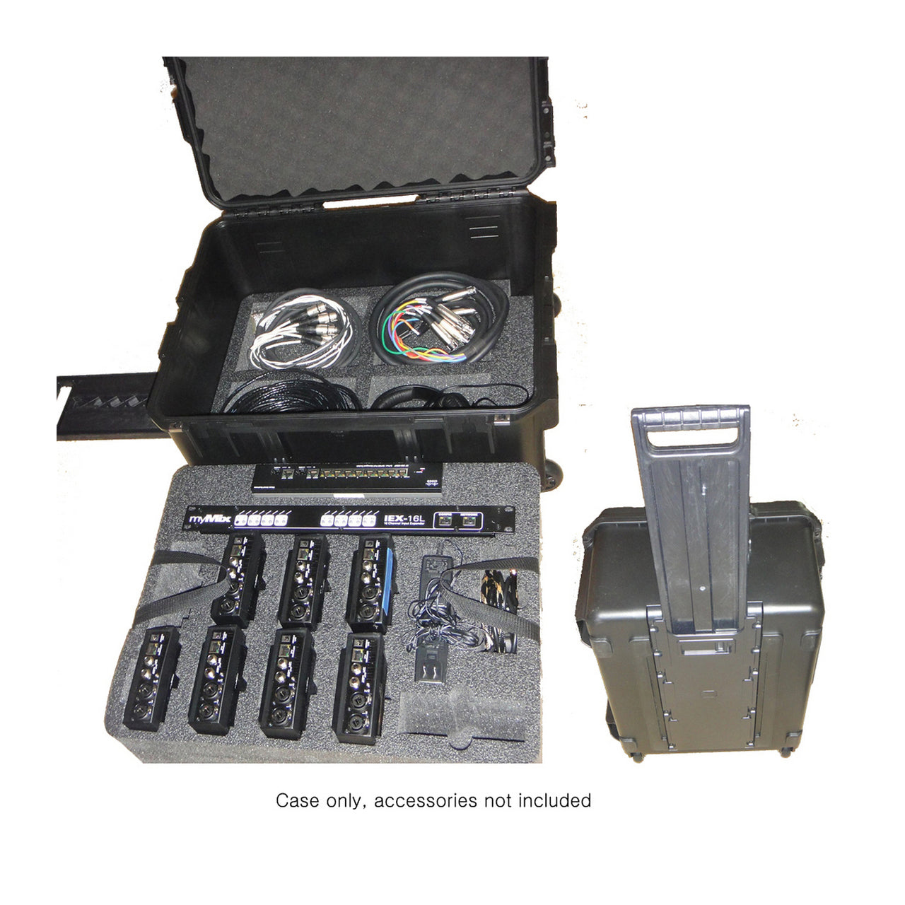  MyMix DEMO 10 CASE Professional Hard Case For8 MyMix 1 IEX-16 And 1 Power8 Switch(Mymix Demo 10 Case Professional Hard Case For 8 Mymix 1 Iex 16 And 1 Power8 Switch)