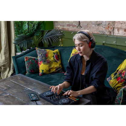  AlphaTheta DDJ-FLX2 Compact 2-Channel DJ Controller(Alphatheta Ddj Flx2 Compact 2 Channel Dj Controller)