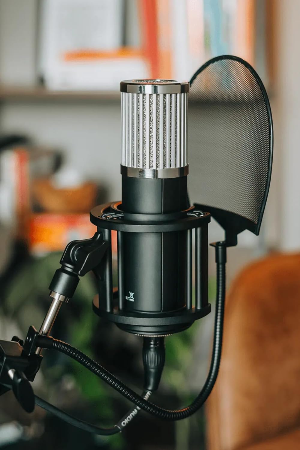  512 Audio Skylight Large Diaphragm Studio Condenser XLR Microphone(512 Audio Skylight Large Diaphragm Studio Condenser Xlr Microphone)